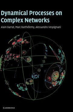 Dynamical Processes on Complex Networks - Barrat, Alain; Barthelemy, Marc; Vespignani, Alessandro