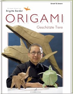 Cover Origami