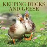 Keeping Ducks and Geese - Bild 1