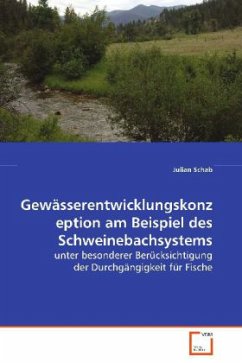 Gewässerentwicklungskonzeption am Beispiel des Schweinebachsystems - Schab, Julian