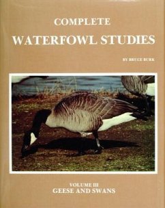 Comp Waterfowl Studies - Burk, Bruce