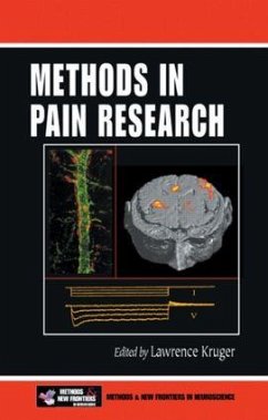 Methods in Pain Research - Kruger, Lawrence (ed.)