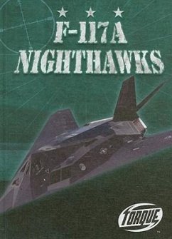 F-117A Nighthawks - Zobel, Derek