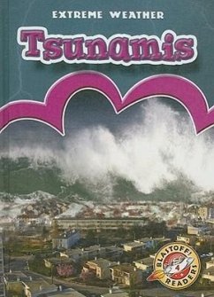Tsunamis - Wendorff, Anne