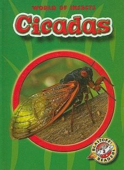 Cicadas - Sexton, Colleen