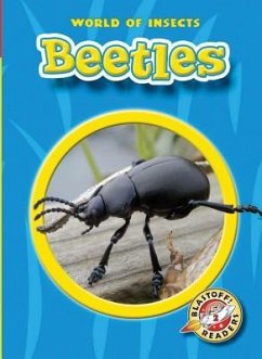 Beetles - Sexton, Colleen