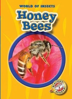 Honey Bees - Sexton, Colleen