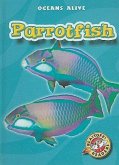 Parrotfish