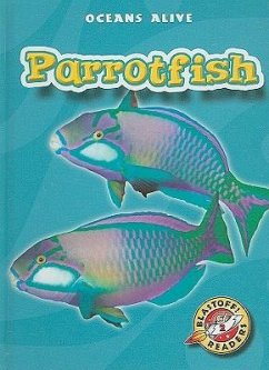 Parrotfish - Rustad, Martha E H