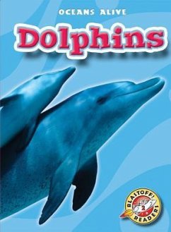 Dolphins - Herriges, Ann