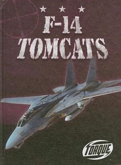 F-14 Tomcats - David, Jack