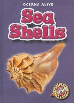 Sea Shells - Skeie, Shari