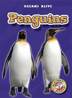 Penguins - Wendorff, Anne