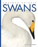 Swans