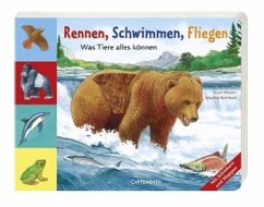 Rennen, Schwimmen, Fliegen - Was Tiere alles können - Niessen, Susan