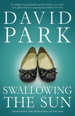 Swallowing the Sun - Park, David