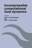 Incompressible Computational Fluid Dynamics