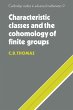 Characteristic Classes and the... - Bild 1