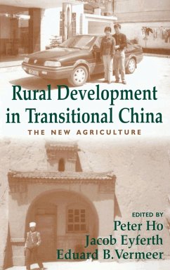 Rural Development in Transitional China