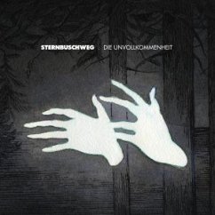 Cover Die Unvollkommenheit