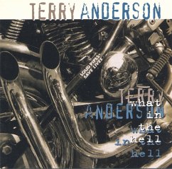 What In The Hell - Anderson,Terry