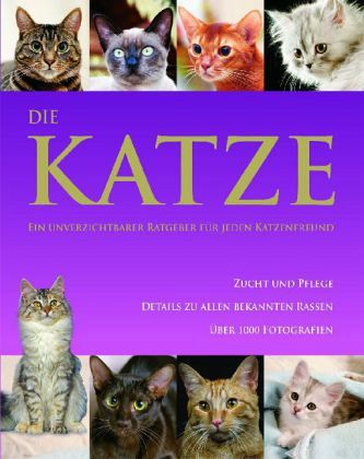 Die Katze Die Katze
