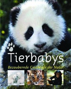 Tierbabys - Gilpin, Daniel