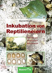 Inkubation von Reptilieneiern - Köhler, Gunther