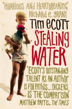 Stealing Water - Ecott, Tim