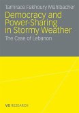 Democratisation and Power-Sharing in Stormy Weather