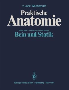 Cover Bein und Statik
