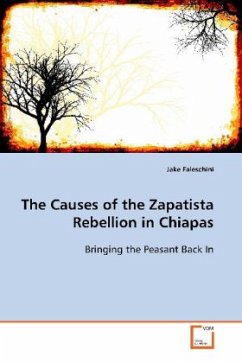 The Causes of the Zapatista Rebellion in Chiapas - Faleschini, Jake