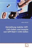 Herstellung stabiler GFP-CHO-Zellen und Anaylse von GFP-Rab11-CHO-Zellen