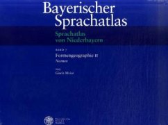 Sprachatlas von Niederbayern (SNiB) / Formengeographie II: Nomen / Bayerischer Sprachatlas Regionalteil V, Bd.7 - Meier, Gisela