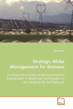 Strategic Niche Management for Biomass - Raven, Rob