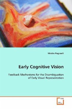 Early Cognitive Vision - Pugeault, Nicolas