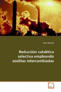 Reducción catalítica selectiva empleando zeolitas intercambiadas - Asencio, Isaac