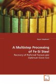 A Multistep Processing of Fe-Si Steel