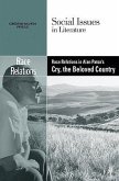 Race Relations in Alan Paton's Cry, the Beloved Country