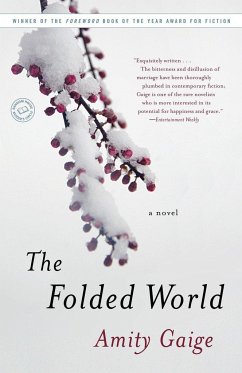 The Folded World - Gaige, Amity