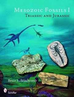 Mesozoic Fossils - Stinchcomb, Bruce L