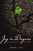 Joy in Disguise