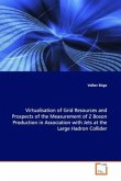 Virtualisation of Grid Resources and Prospects of the Measurement of Z Boson Production in Association with Jets at the