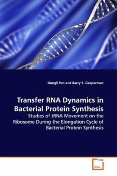 Cover Transfer RNA Dynamics in Bacterial Protein Synthesis
