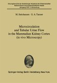 Microcirculation and Tubular Urine Flow in the Mammalian Kidney Cortex (in vivo Microscopy)