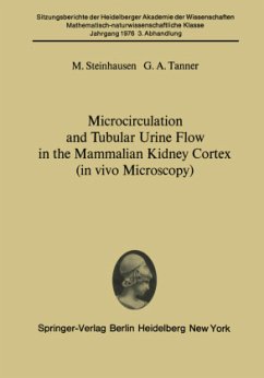 Microcirculation and Tubular Urine Flow in the Mammalian Kidney Cortex (in vivo Microscopy) - Steinhausen, M.; Tanner, G. A.