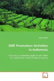 SME Promotion Activities in Indonesia
