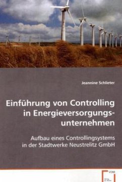 Einführung von Controlling in Energieversorgungs- unternehmen - Schlieter, Jeannine