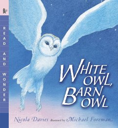 White Owl, Barn Owl - Davies, Nicola