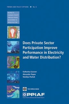 Does Private Sector Participation Improve Performance in Electricity and Water Distribution? - Gassner, Katharina; Popov, Alexander; Pushak, Nataliya